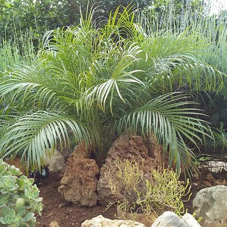 Baglio Poma Кастеллуццо